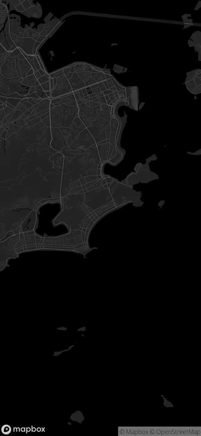 Rio de Janeiro in the Dark style