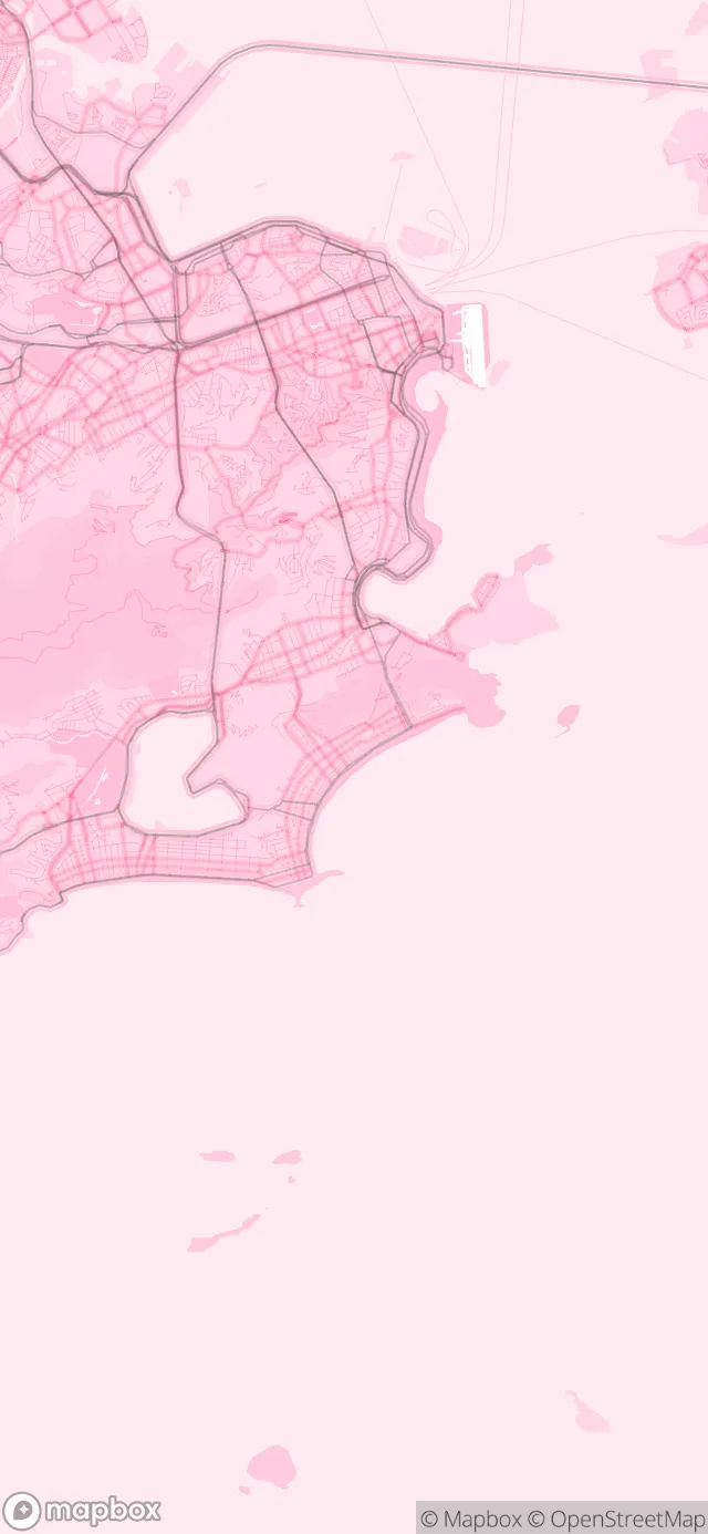 Rio de Janeiro in the Pink style