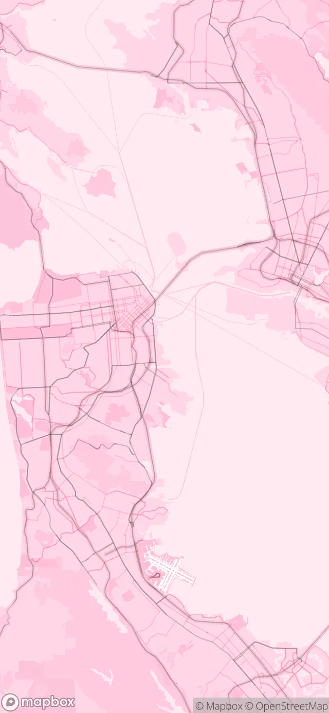 San Francisco in the Pink style