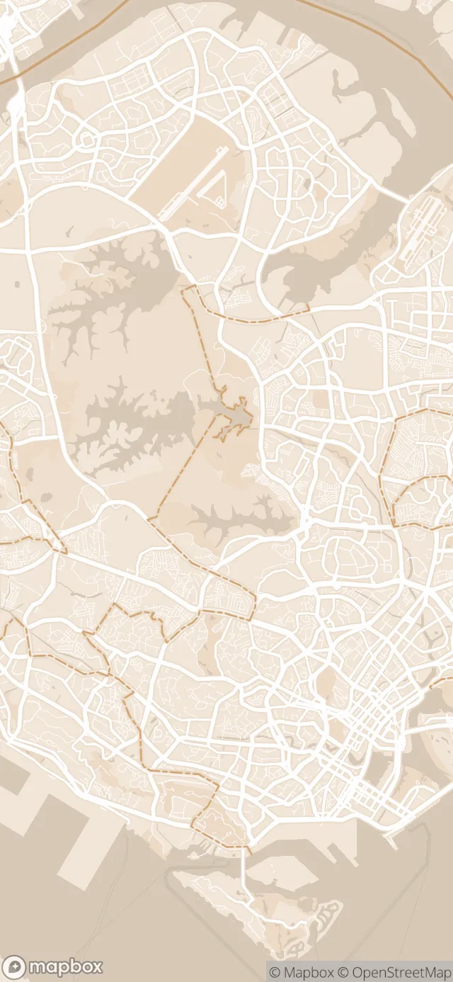 Singapore in the Cream style