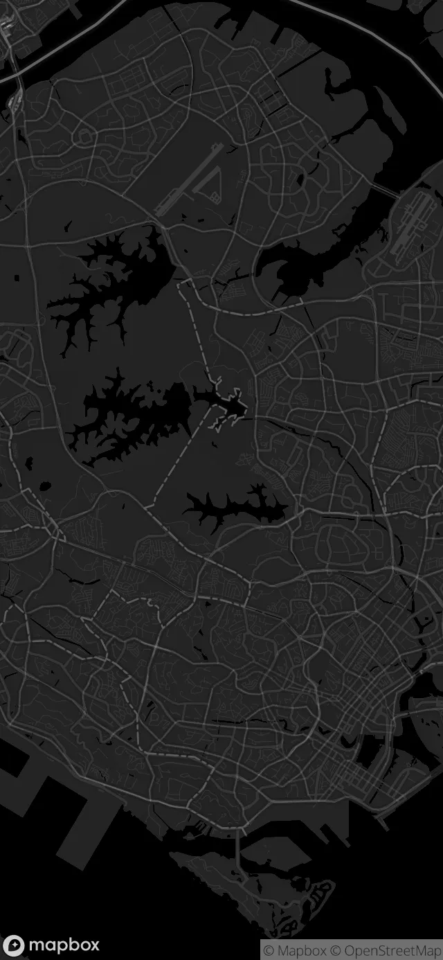 Singapore in the Dark style