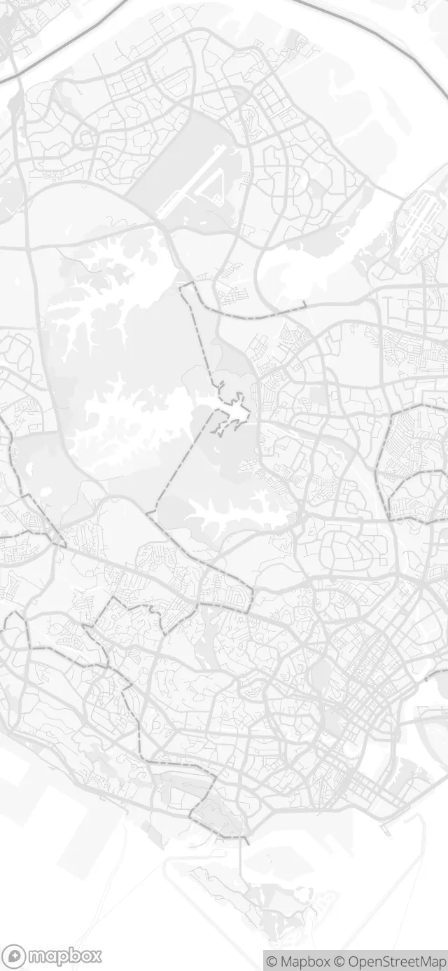 Singapore in the Light style