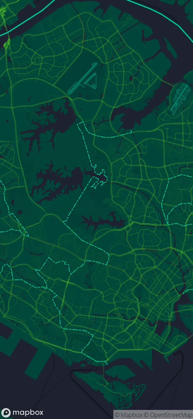 Singapore in the Neon Green style