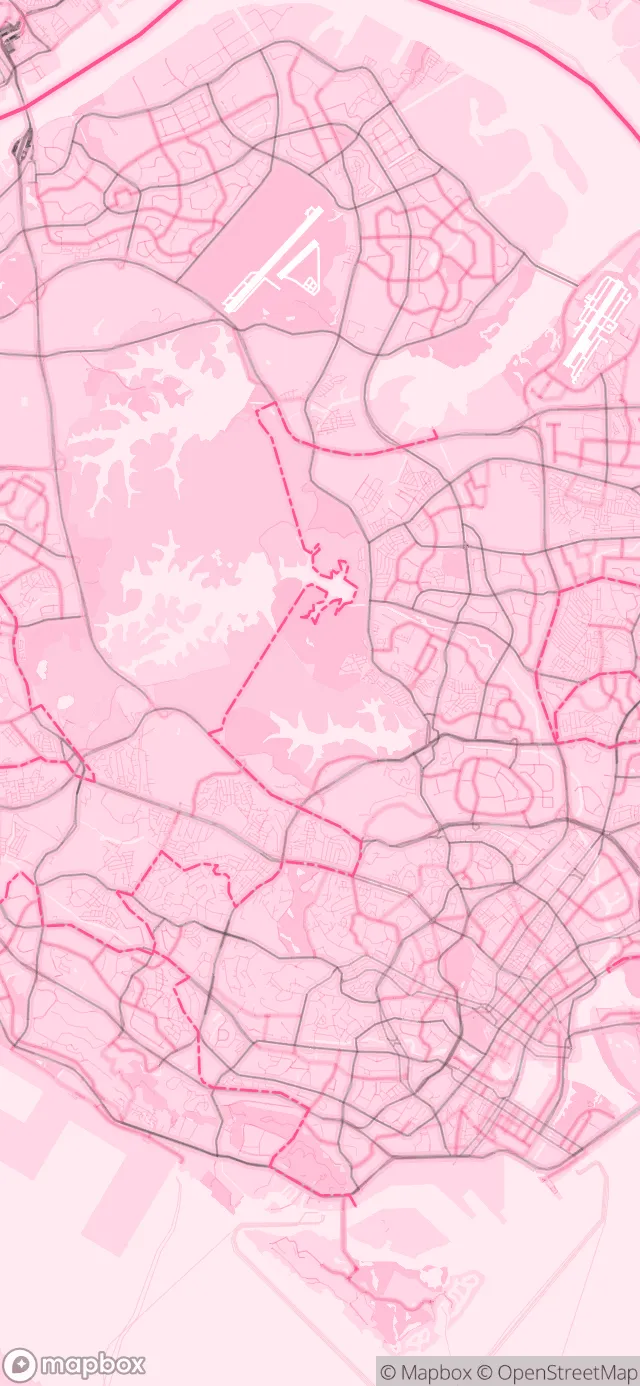 Singapore in the Pink style