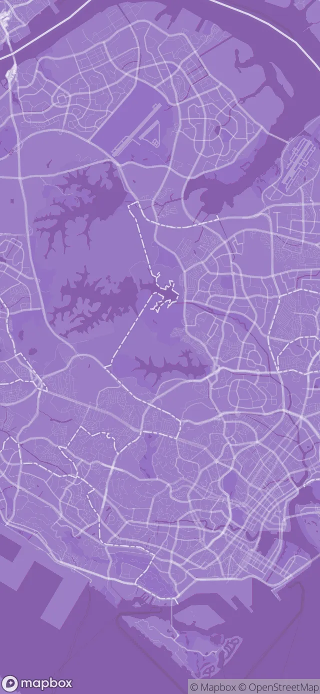 Singapore in the Purple style